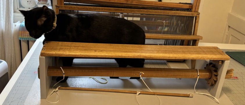 Penelope, a small black cat, walks through the front of the loom.