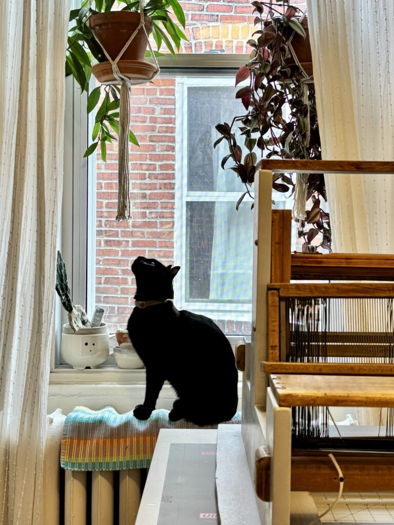 Penelope the black cat sits on a window ledge behind the loom, looking up at the tassels of a macrame plant hanger. This is a gratuitous cat photo.