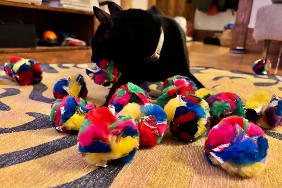 A black cat plays with 24 crinkle balls at once